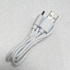 USB type A to USB type C ケーブル ホワイト