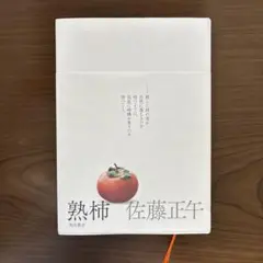 熟柿 佐藤正午 KADOKAWA