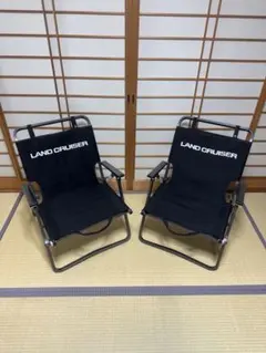最終値下げZANE ARTS ゼクーL、リビングシートのセット - メルカリ