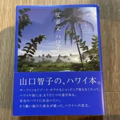 反省文ハワイ