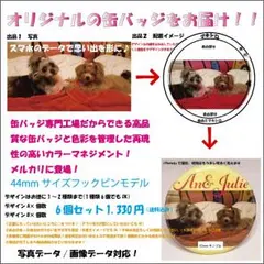 みぃちゃん様専用オリジナル缶バッジ