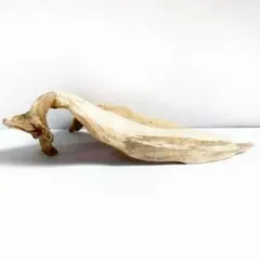 Item thumbnail for item a053f94e-e70f-403e-b6ac-48f3f7ba3acf