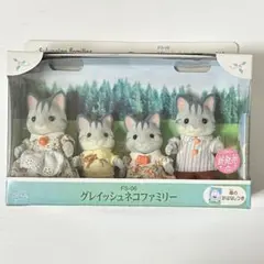 【新品•未開封】シルバニア⭐️アイビーマークキャンペーン⭐️人形&ドレスセット シルバニア アイビーマークキャンペーン オリジナル 人形