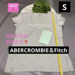 Abercrombie & Fitch フレンチ袖XS Tシャツとにかく生地良い