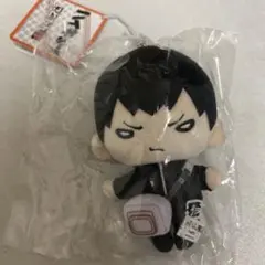 2025年最新】にとたん ハイキュー ぬいぐるみ 影山の人気