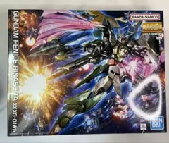 2025年最新】MG 1/100 ガンダムフェニーチェリナーシタ の人気アイテム