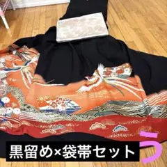 黒留め袖セット‼️着物×袋帯‼️今いらなくても1枚あると便利‼️激安今が1番チャンス‼️