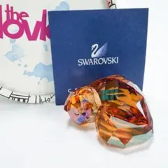 スワロフスキー　ラブロッツ ベラ スワロフスキーが新キャンペーンの顔にベラ・ハディッドを起用