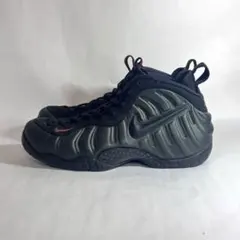 美品 NIKE ナイキ エアフォームポジット プロ セコイヤ 28cm