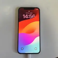 Item thumbnail for item 5bb24d20-c60e-45c0-ad6d-44741edcb5c5