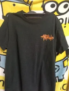 STUSSY グラフィック Tシャツ ブラック