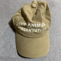 the animals observatory キャップ