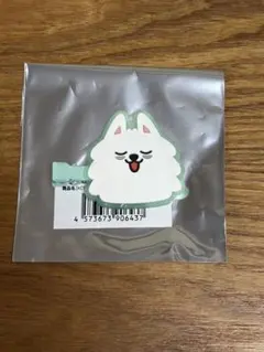 TXT ヘアクリップ ヨンモン (スビン)