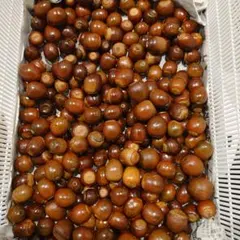 ハンドメイド デコレーションパーツ