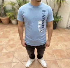 アメリカ製 Hanes Beefy-T Hawaii サーフプリント Tシャツ - メルカリ