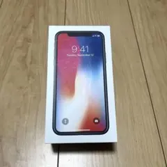 【新品・未使用】Apple iPhone X空箱・付属品