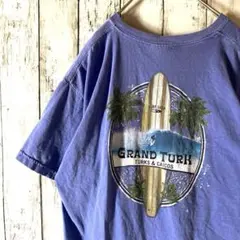アメリカ古着コンフォートカラーズ　バックプリントTシャツ　サーフィンL