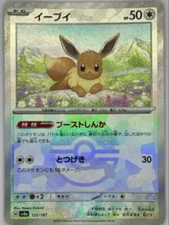 ポケカ イーブイ 進化 テラスタル イーブイex SAR ポケモンカード SV8a