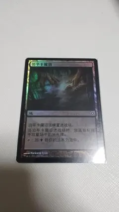 MTG 親身の教示者 中国語 - メルカリ