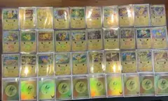 ピカチュウ 全30種コンプセット ＋α【スリーブ付】