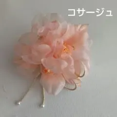 Item thumbnail for item fd98b917-89ff-49ca-b62e-9fb66b356681