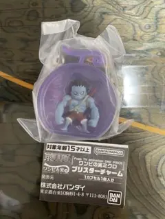 即日発送！シークレット ワンピの実ミクロ ブリスターチャーム