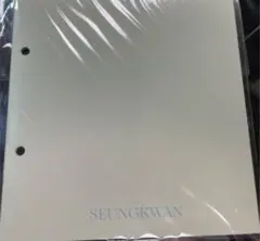 SEVENTEEN Heng:garae DULスングァン アルバム