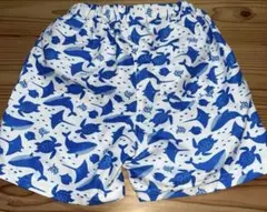 Item thumbnail for item 7807280c-a2f9-4d46-aec1-949e04641428