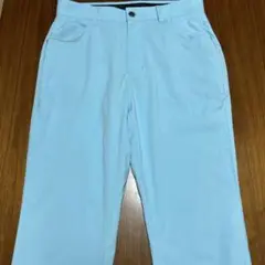 ツアーディビジョン　水色 ゴルフパンツ メンズウェア