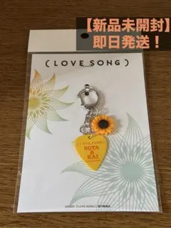 映画　LOVE SONG ラブソング　ピックキーホルダー　向井康二　森崎ウィン