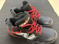 hesi low v2 25.5