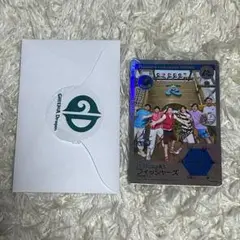 GREENIA フィッシャーズ トレーディングカード