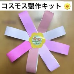 コスモス製作キット5セット