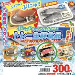 食品 カプセルトイ