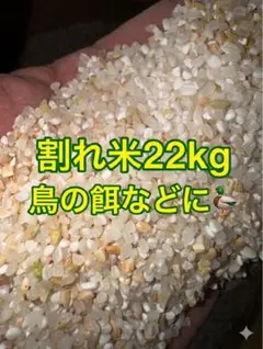 くず米 白米 24kg 鳥のエサ ペットのエサ 飼料米 ◇送料無料