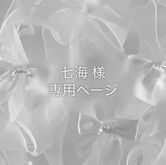専用ページ