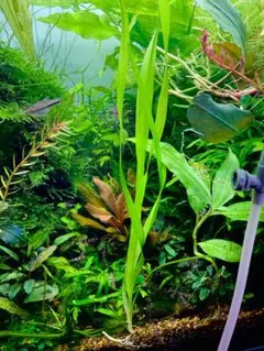 しげ様 リクエスト 4点 まとめ商品