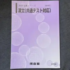 河合塾　完成シリーズ　漢文
