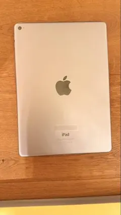 Apple iPad Air2本体