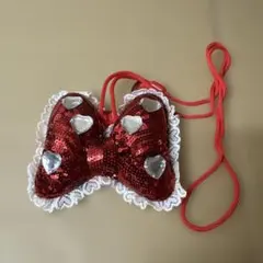 ディズニーリゾート　パスケース　ミニー　リボン