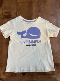 パタゴニア　オーガニックコットンTシャツ