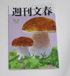 週刊文春 2026年10月8日号 原色美女図鑑 グラビア 石原さとみ