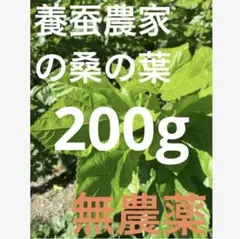 キウイ　花粉　ゴールドキウイフルーツ 雄花 花粉 受粉用 ゴールデン ゴールデンキウイ 花粉 受粉 オス - メルカリ