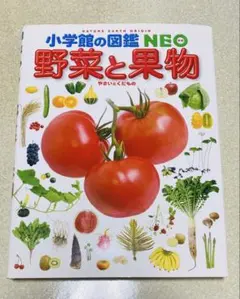 小学館の図鑑NEO 野菜と果物 - メルカリ