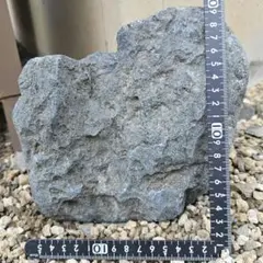 大型 北海道産 神居古潭石 茄子紺 天然石 水石 鑑賞石 山形 名石 盆石 庭石 大型 北海道産 神居古潭石 茄子紺 天然石 水石 鑑賞石 山形 名石 盆石