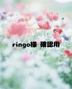 ringo様 オーダー確認用