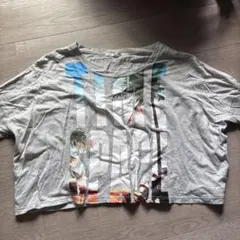 carnelian 半袖Tシャツ グレー Mサイズのサムネイル