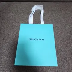 【新品未使用】ティファニー　ショッパーのサムネイル