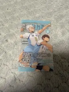 ハイキュー‼︎ カードセレクション 月刊バリボー 鴎大