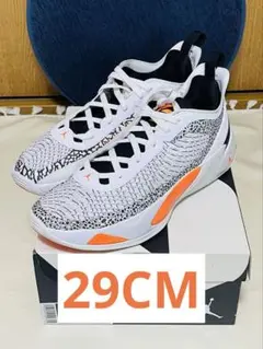 新品未使用29CM Jordan LUKA 1 PF ルカ DQ6510-108